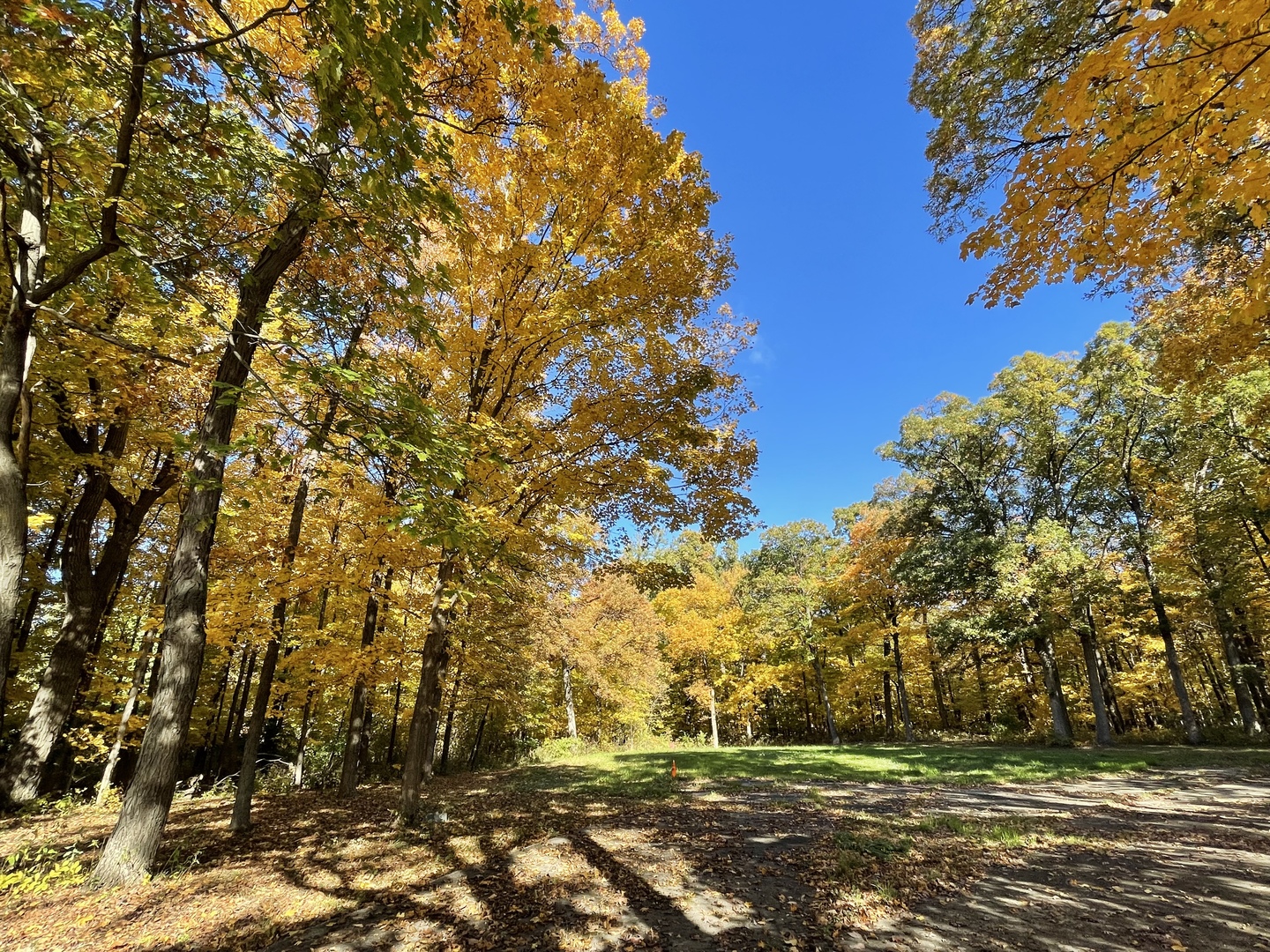 12920 Francis Road Mokena, IL 60448 - Photo 8 of 9 a view of outdoor space with city view