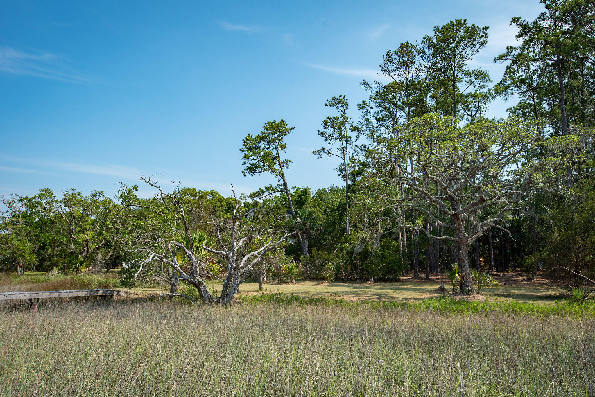 8930 Sandy Creek Road Edisto Island, SC 29438 - Photo 2 of 22 Lot6SandyCreekRd-2