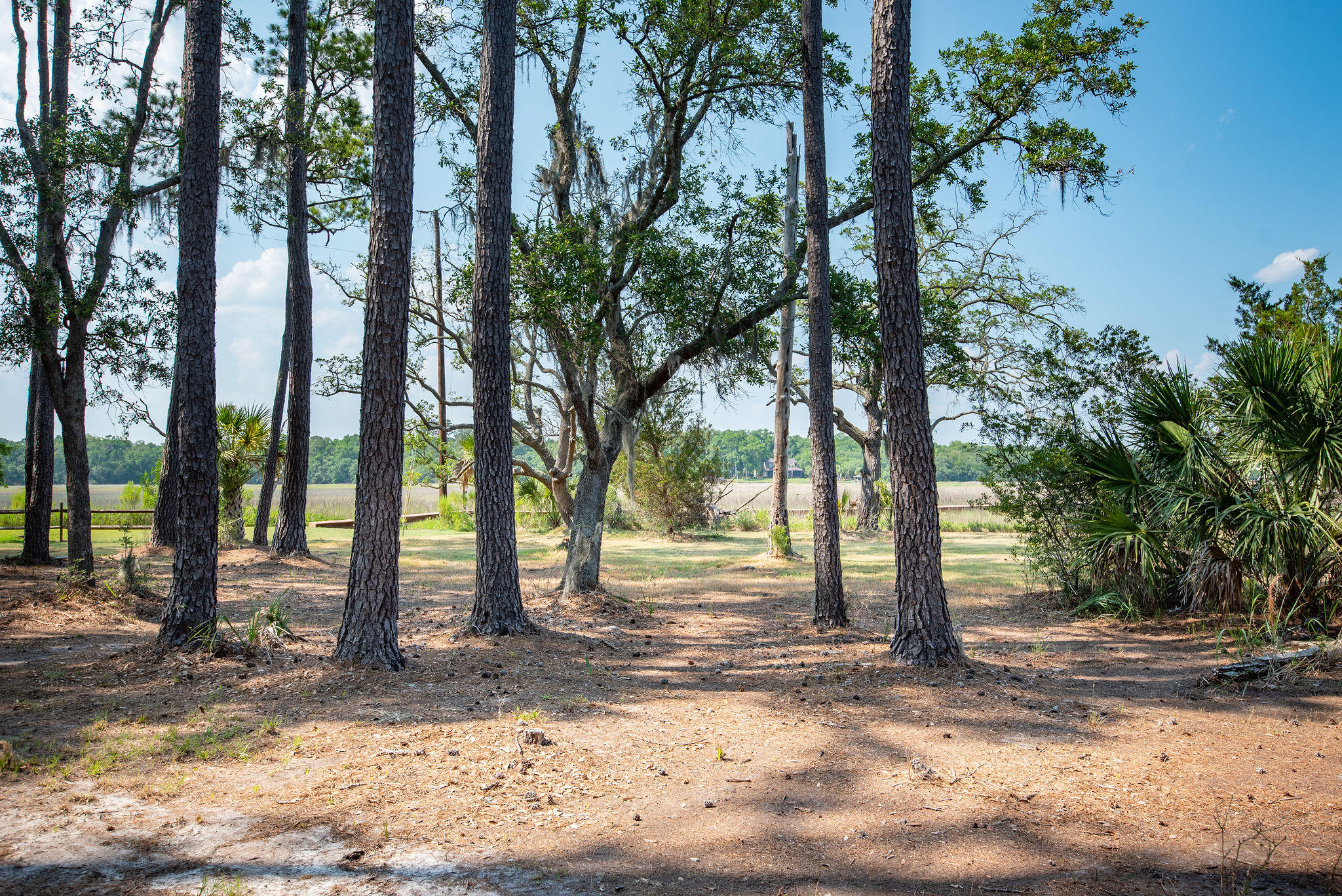 8930 Sandy Creek Road Edisto Island, SC 29438 - Photo 11 of 22 Lot6SandyCreekRd-11