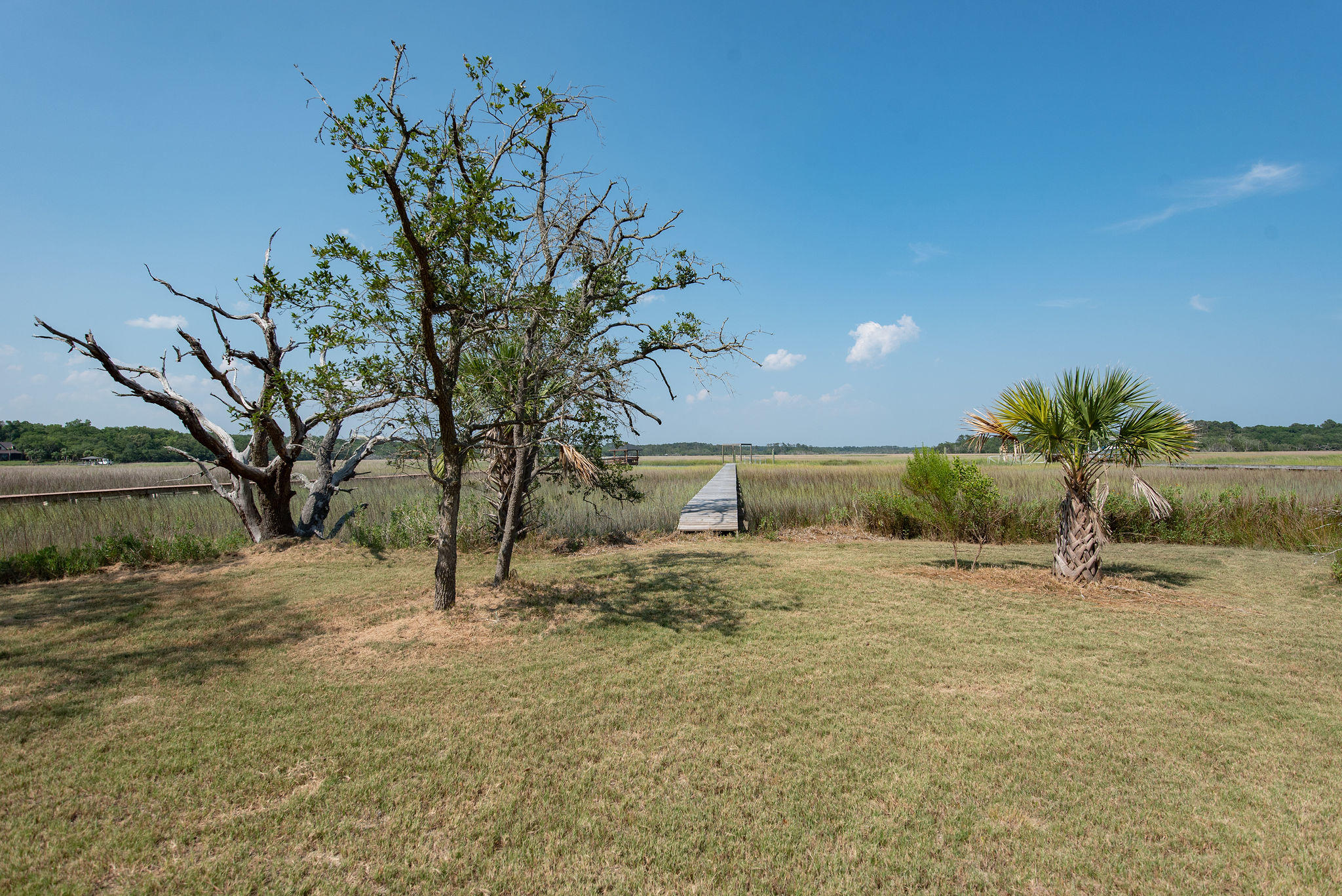 8930 Sandy Creek Road Edisto Island, SC 29438 - Photo 14 of 22 Lot6SandyCreekRd-14