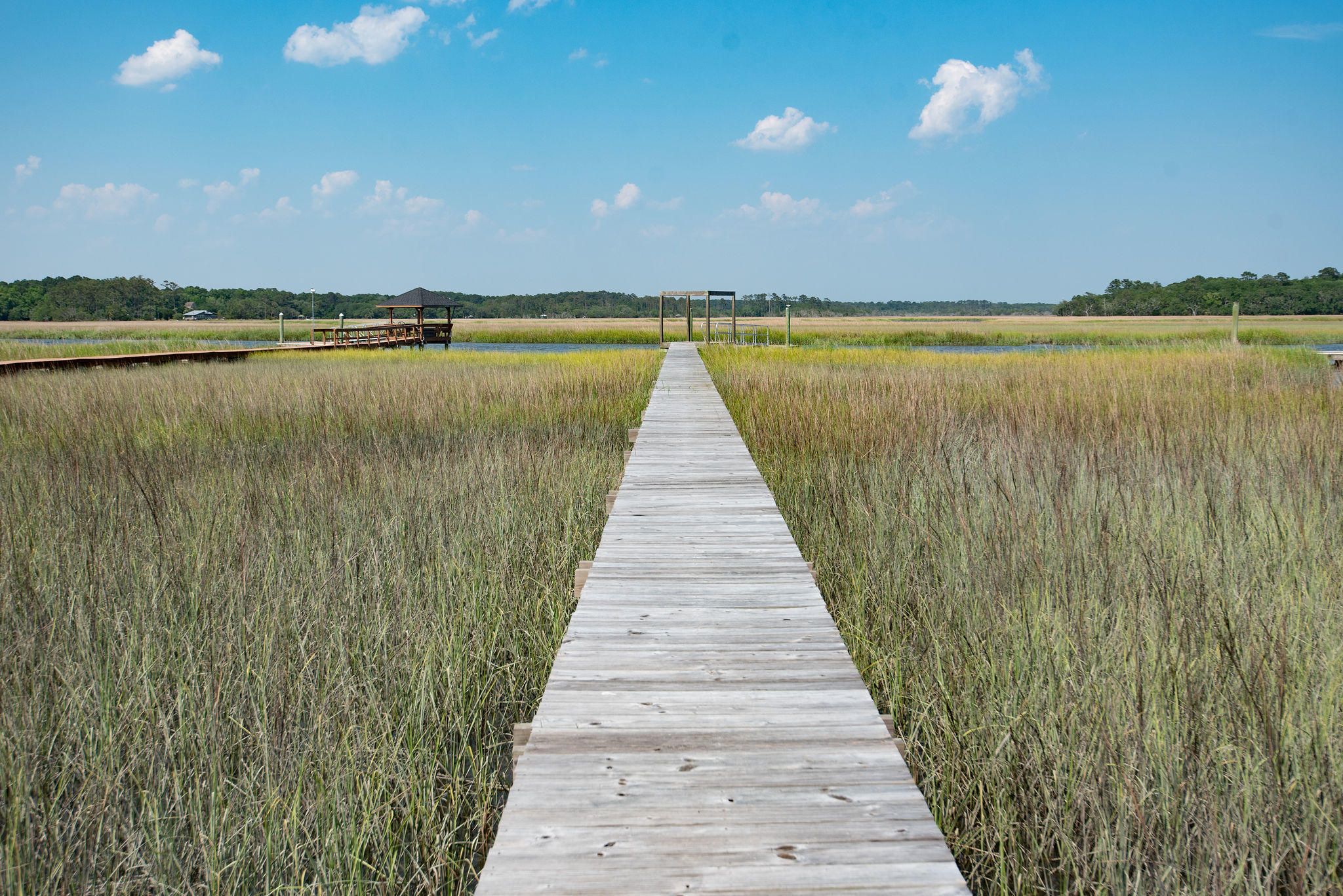 8930 Sandy Creek Road Edisto Island, SC 29438 - Photo 15 of 22 Lot6SandyCreekRd-15