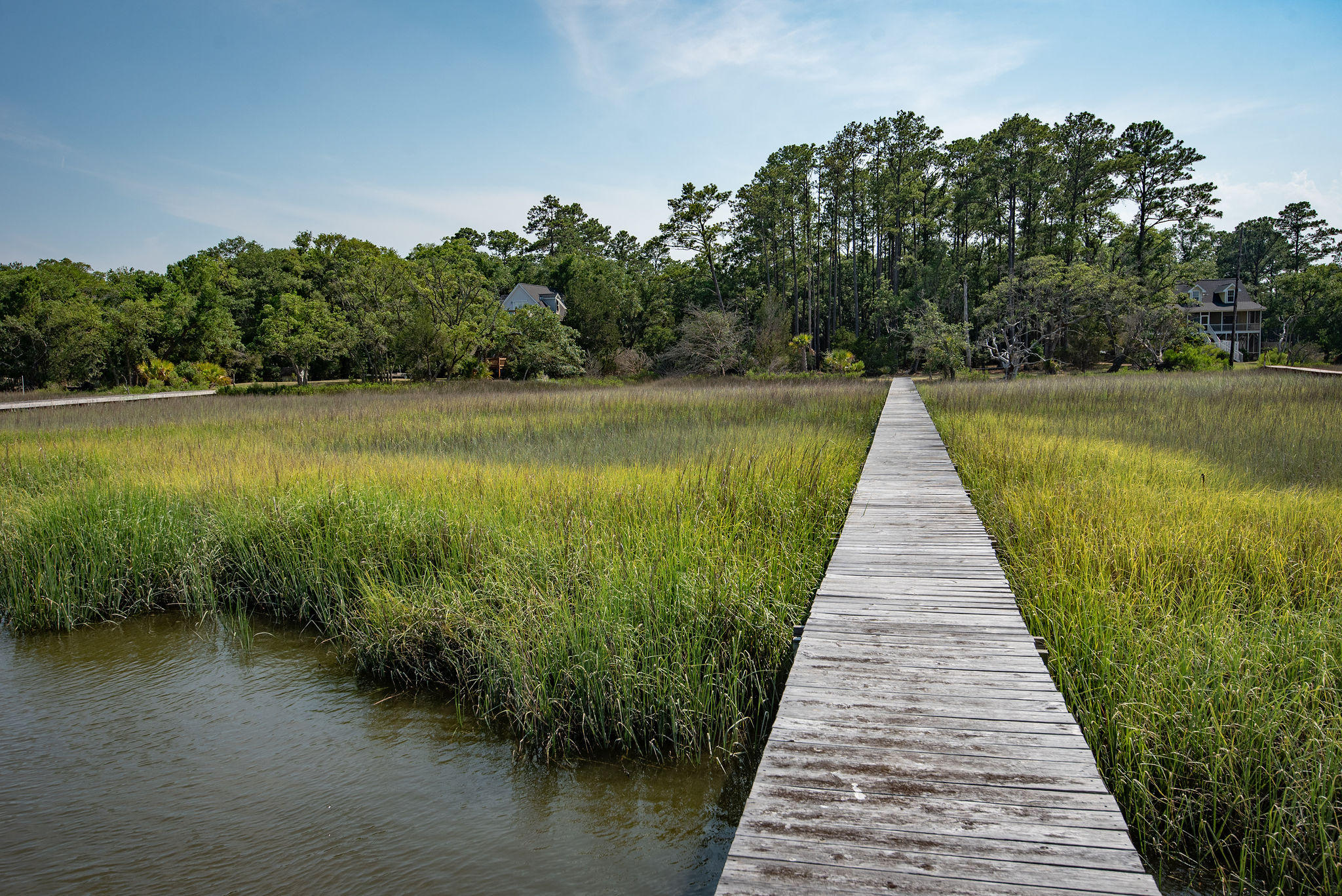 8930 Sandy Creek Road Edisto Island, SC 29438 - Photo 16 of 22 Lot6SandyCreekRd-20