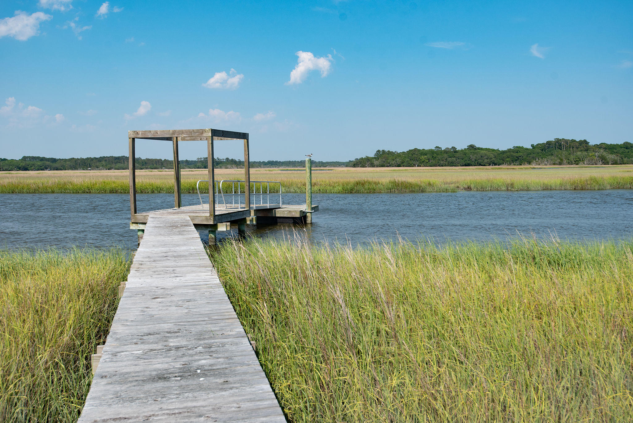 8930 Sandy Creek Road Edisto Island, SC 29438 - Photo 20 of 22 Lot6SandyCreekRd-16