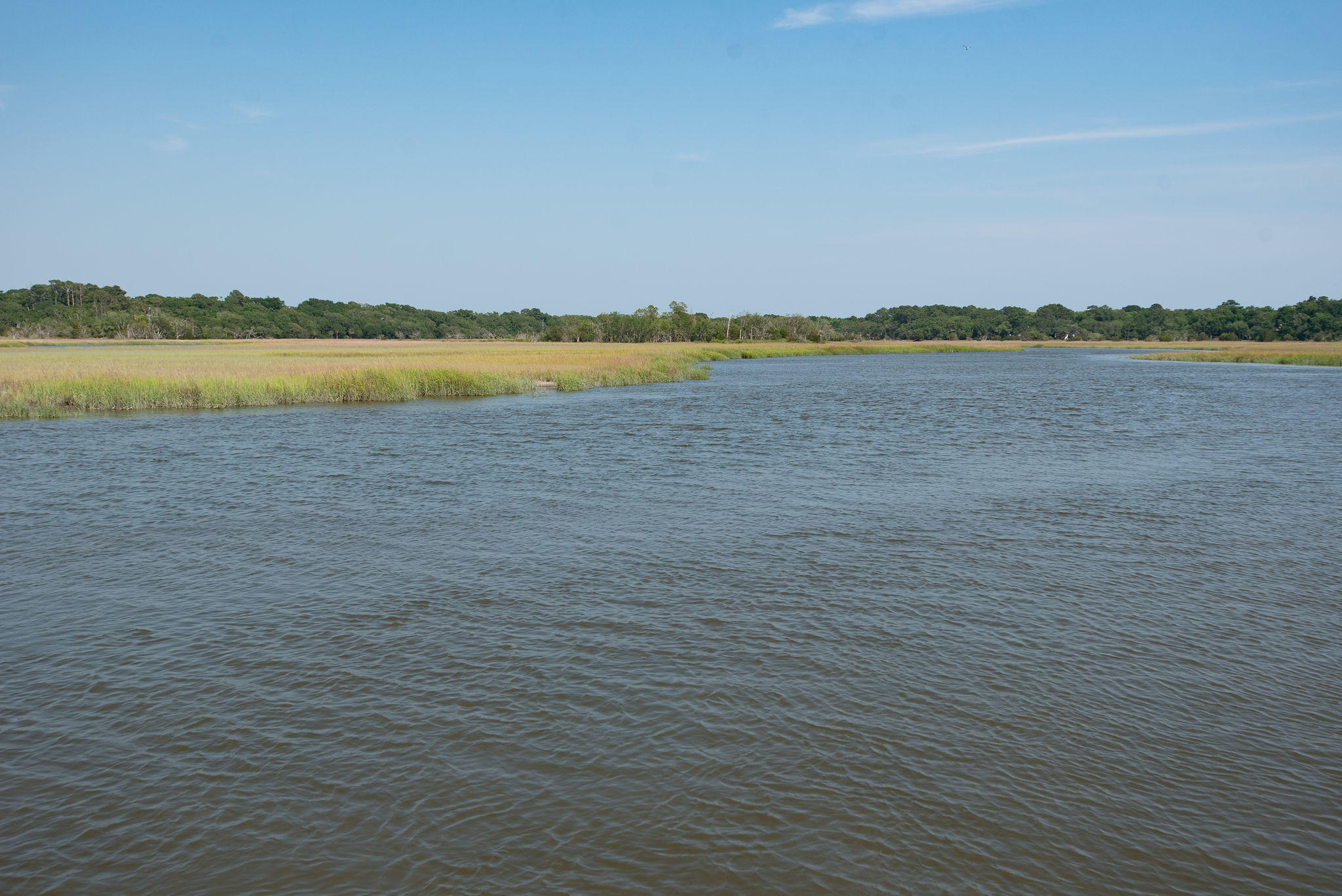 8930 Sandy Creek Road Edisto Island, SC 29438 - Photo 21 of 22 Lot6SandyCreekRd-21