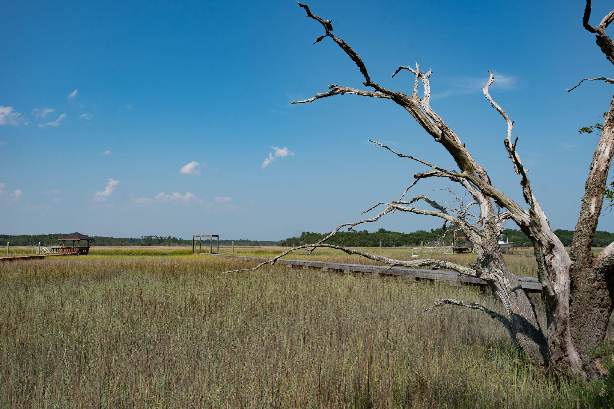 8930 Sandy Creek Road Edisto Island, SC 29438 - Photo 22 of 22 Lot6SandyCreekRd-22