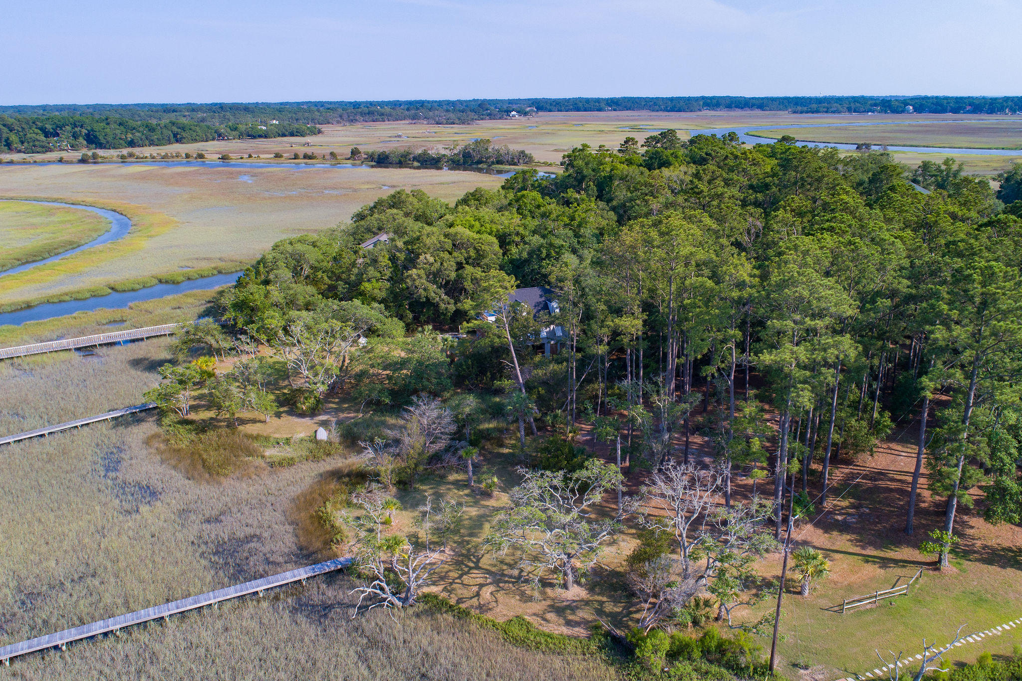 8930 Sandy Creek Road Edisto Island, SC 29438 - Photo 5 of 22 Lot6SandyCreekRd-5