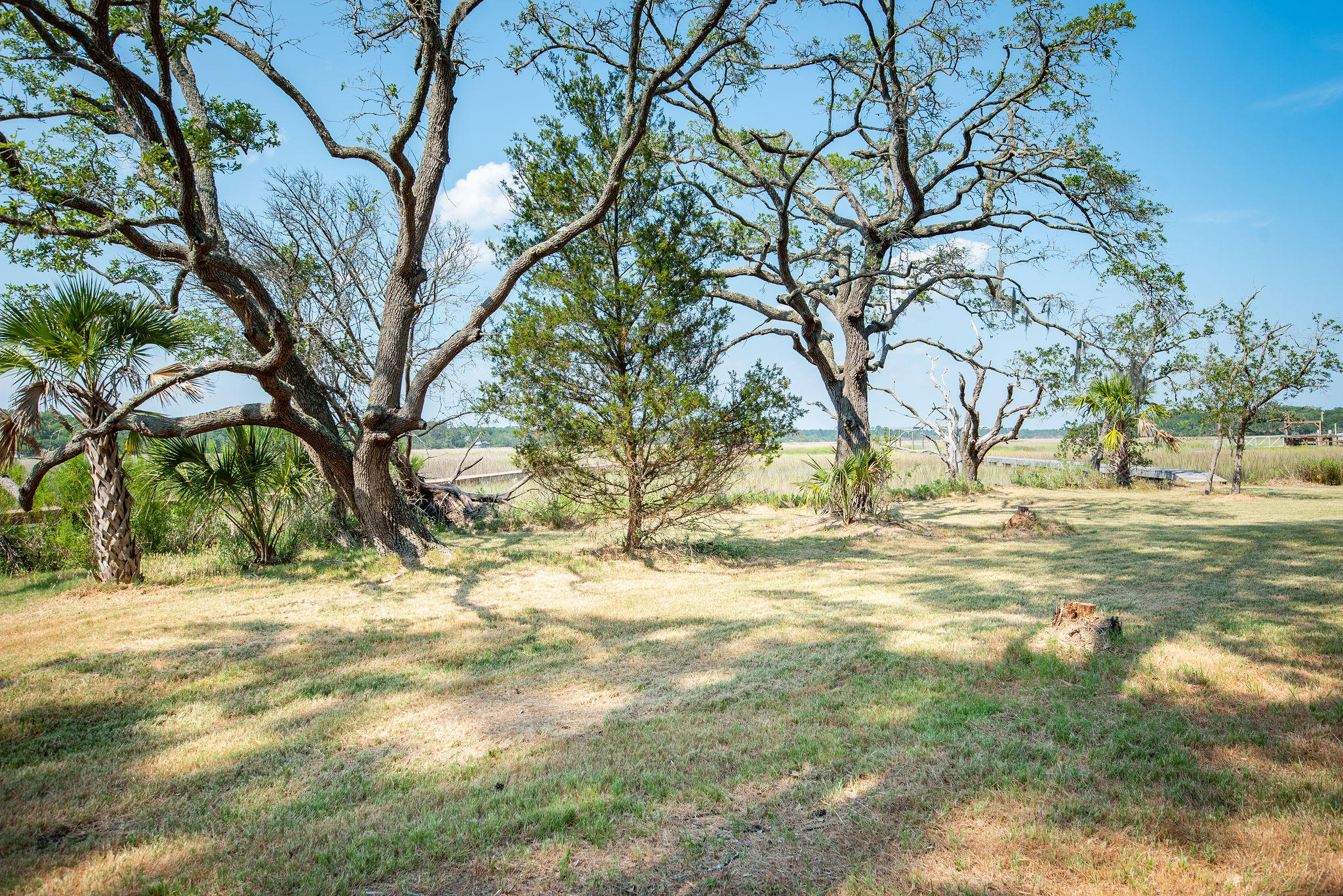 8930 Sandy Creek Road Edisto Island, SC 29438 - Photo 6 of 22 Lot6SandyCreekRd-10