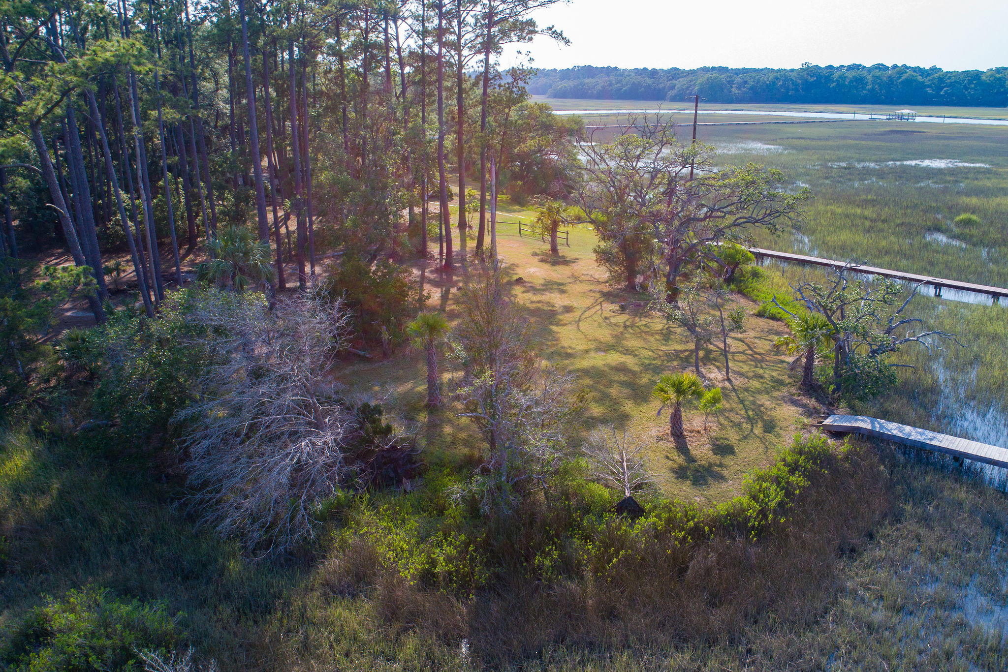 8930 Sandy Creek Road Edisto Island, SC 29438 - Photo 8 of 22 Lot6SandyCreekRd-8