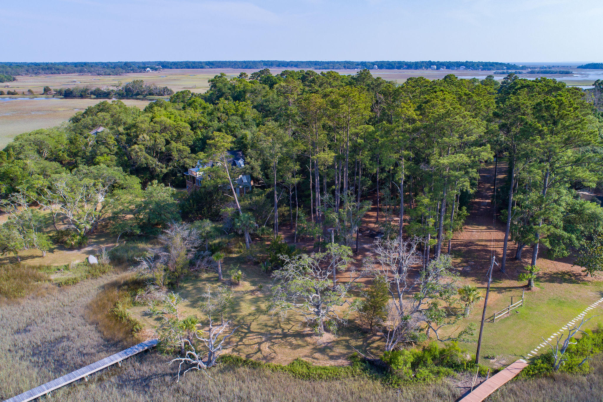 8930 Sandy Creek Road Edisto Island, SC 29438 - Photo 10 of 22 Lot6SandyCreekRd-6