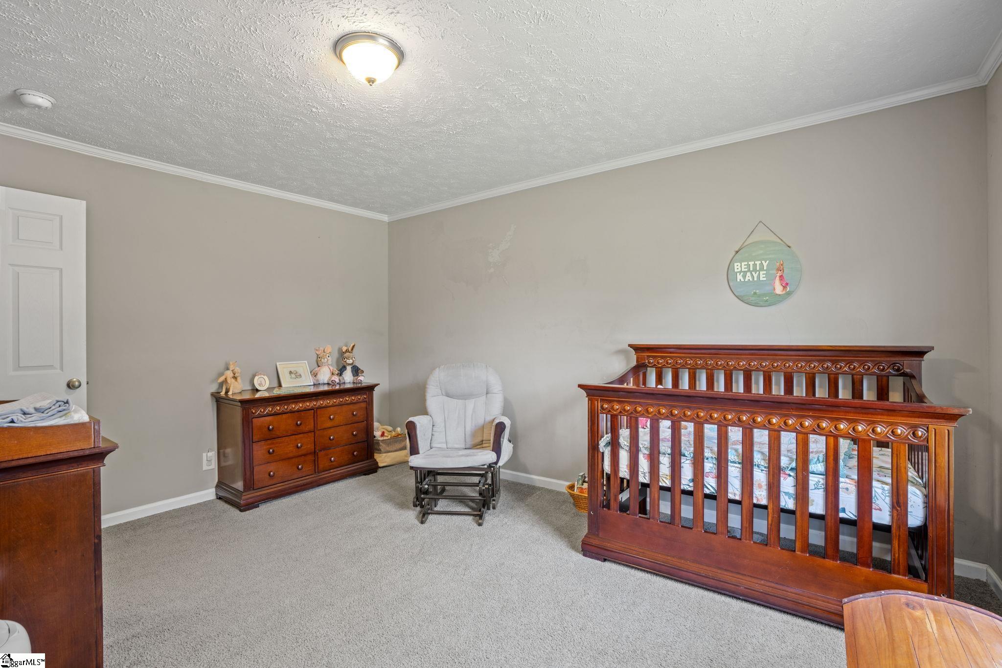55 Kicks Way Honea Path, SC 29654 - Photo 17 of 28 Gallery Image 17