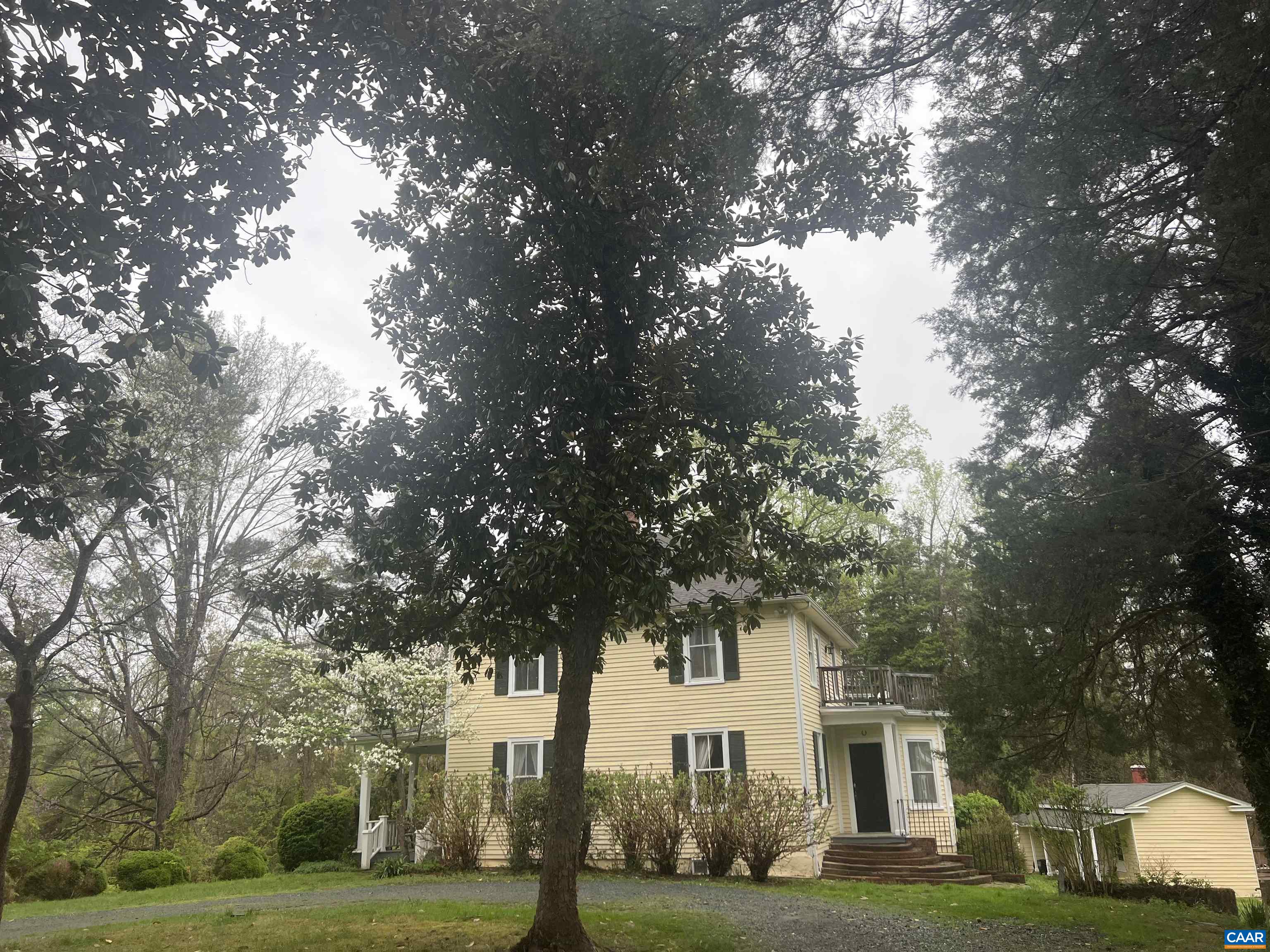 a tree in the middle of a yard