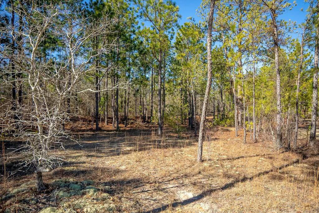 0 East Frontage Road Aiken, SC 29805 - Photo 1 of 20