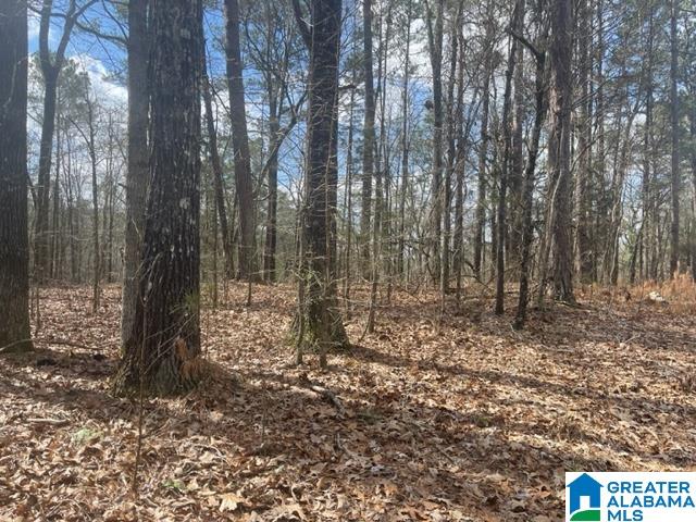 0 Ridgeway Circle, Unit 95 AND 96 Talladega, AL 35160 - Photo 9 of 10