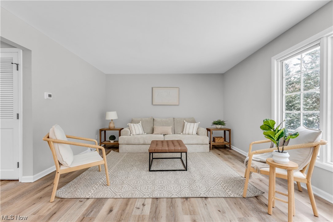 5025 Clubside Road Lyndhurst, OH 44124 - Photo 9 of 35 Living room featuring light hardwood / wood-style floors