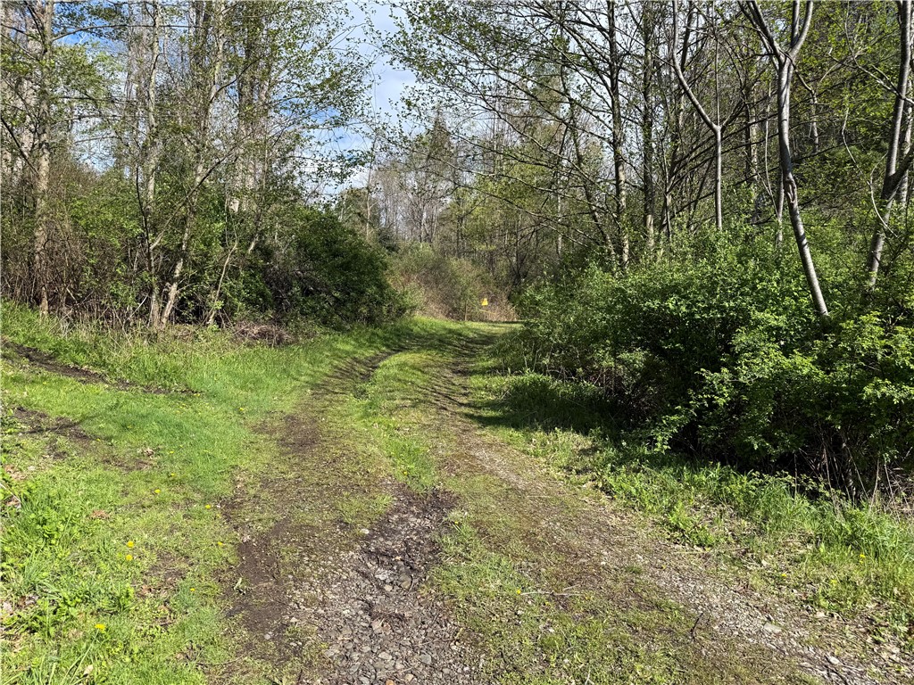 9155 Smith Road Lindley, NY 14870 - Photo 2 of 33