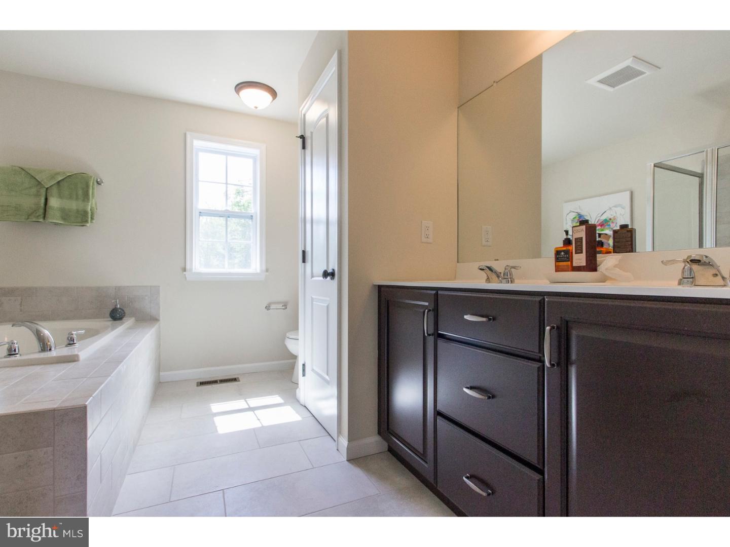 6035 Upper Ridge Road Green Lane, PA 18054 - Photo 10 of 12 Master Bath