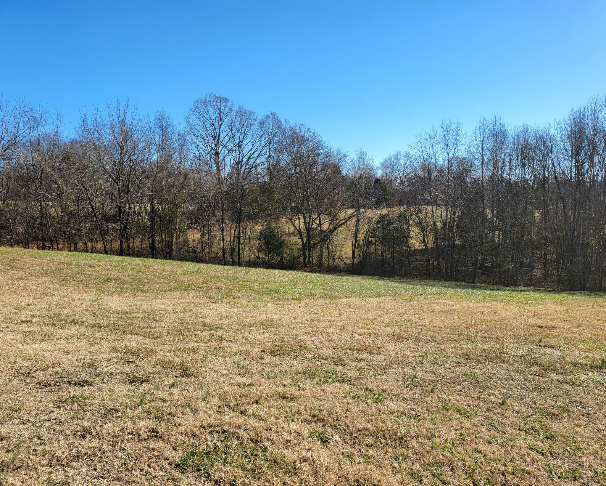 0 Reeder School Road Greenbrier, TN 37073 - Photo 4 of 6 Gallery Image 4