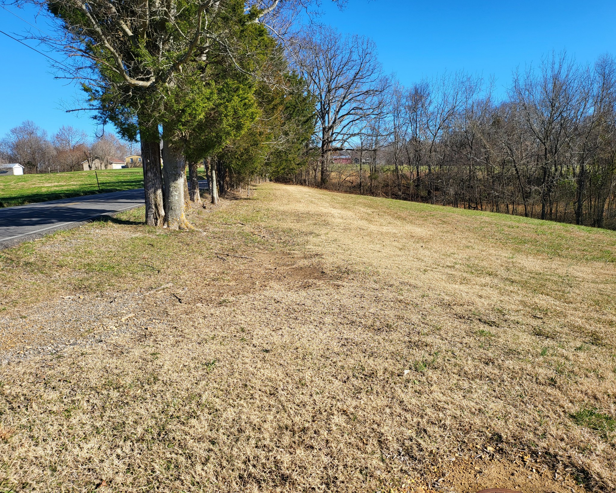 0 Reeder School Road Greenbrier, TN 37073 - Photo 5 of 6 Gallery Image 5