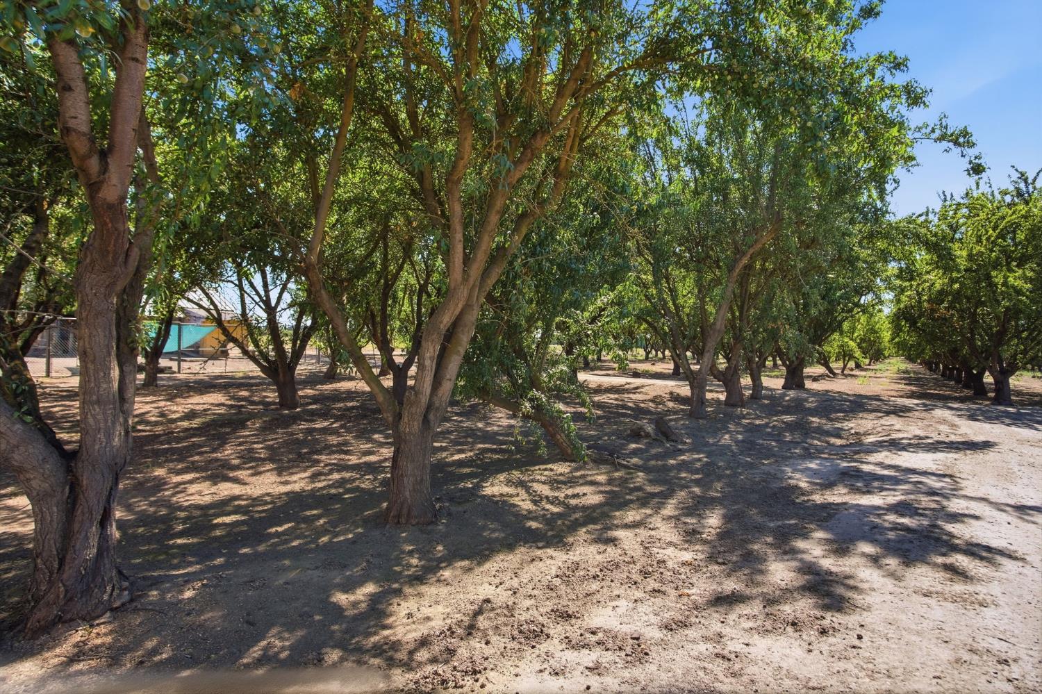 3015 South Waring Road Denair, CA 95316 - Photo 42 of 47