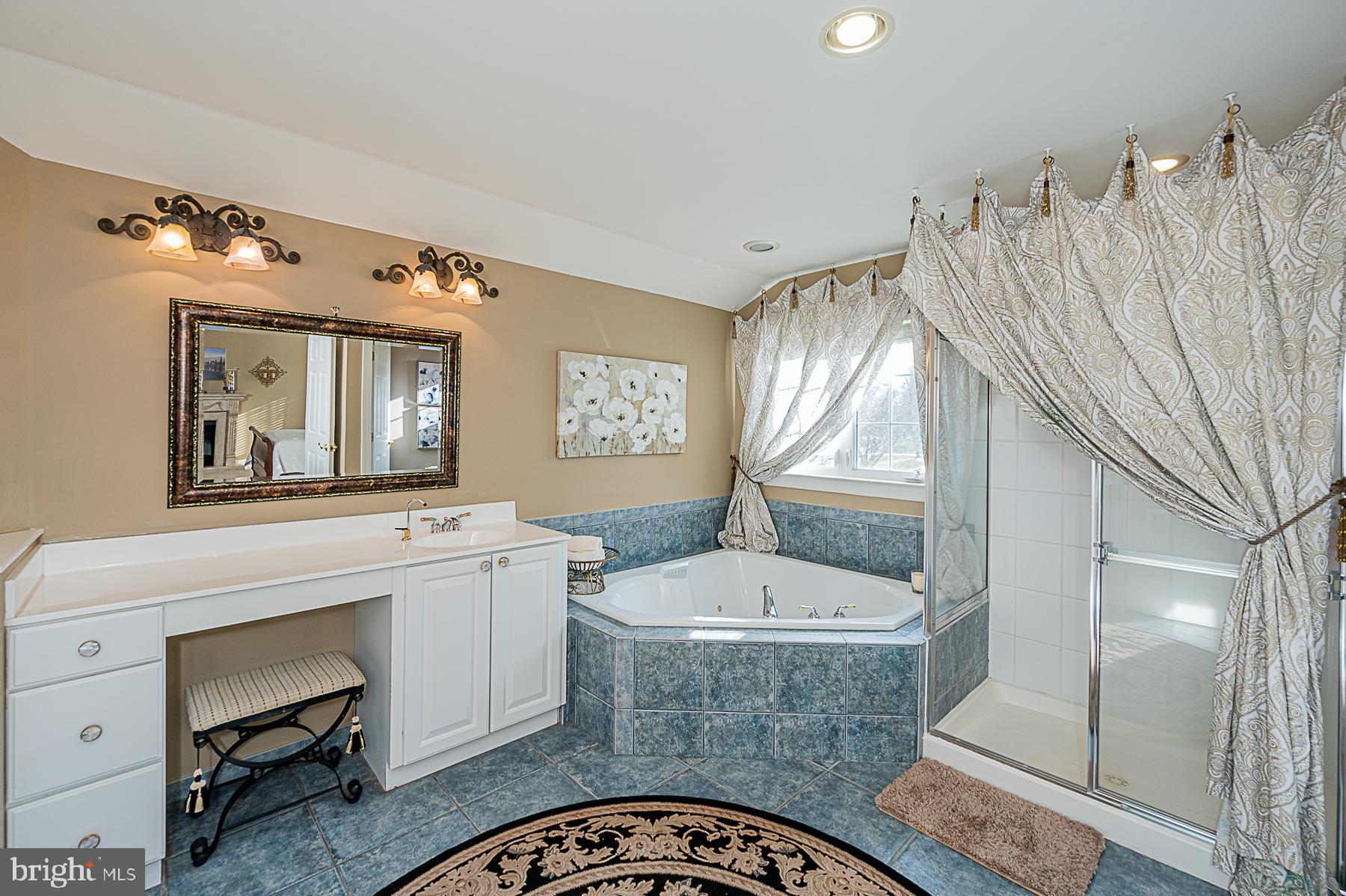 12004 Open Run Road Ellicott City, MD 21042 - Photo 44 of 68 Owners' Suite Full bath with whirlpool tub
