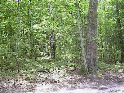 0 Pleasants Mill Road Beaverdam, VA 23015 - Photo 1 of 1 Exterior Front - Property Photo-1