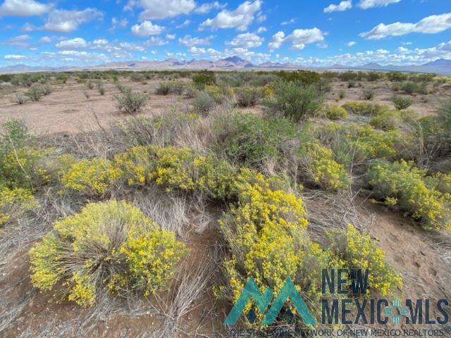 Tbd Tbd Estrellas Road Rodeo, NM 88056 - Photo 8 of 30