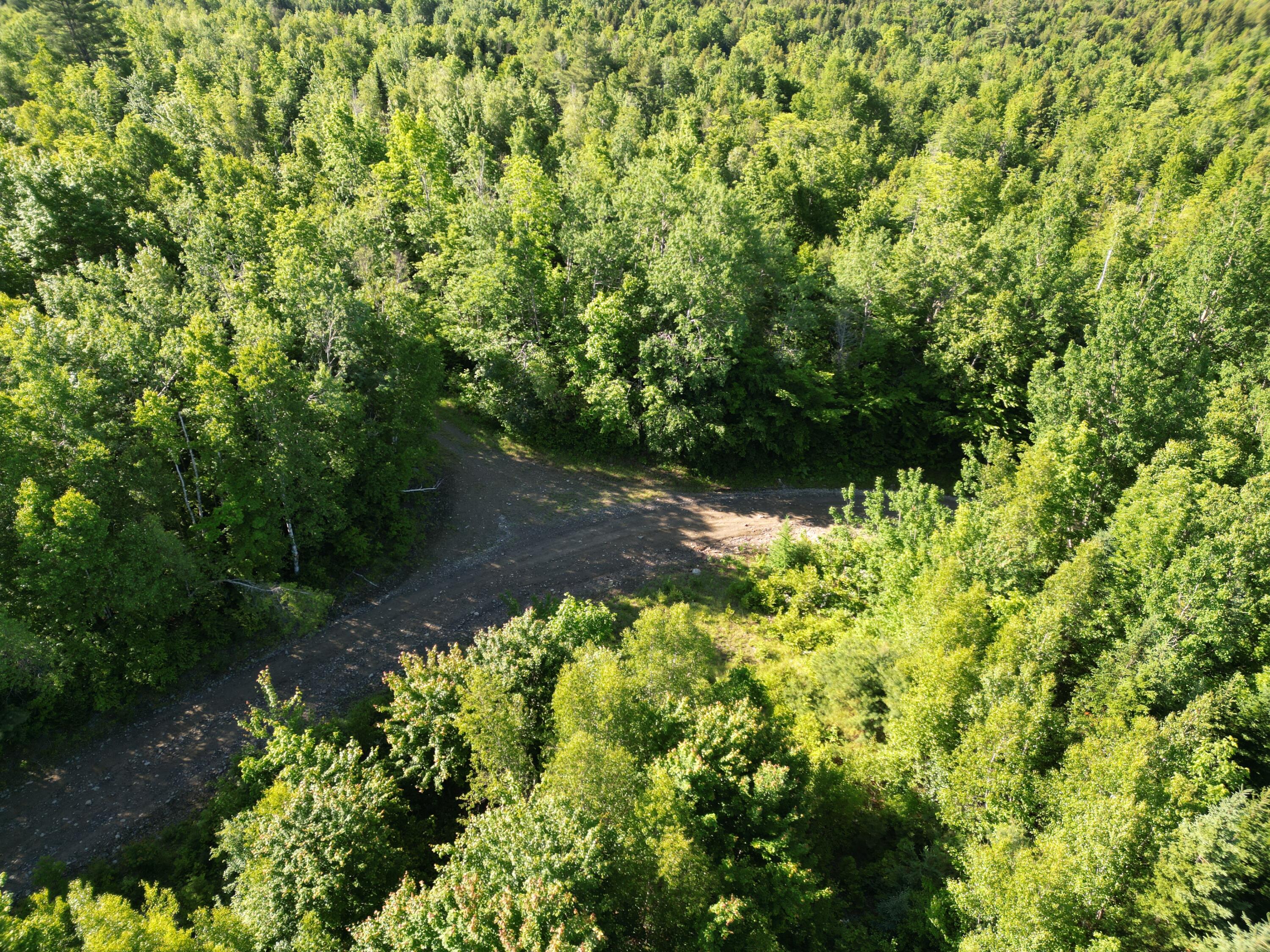 Lot 1 Dirty Glove Road Springfield, ME 04487 - Photo 9 of 21 DJI_0762