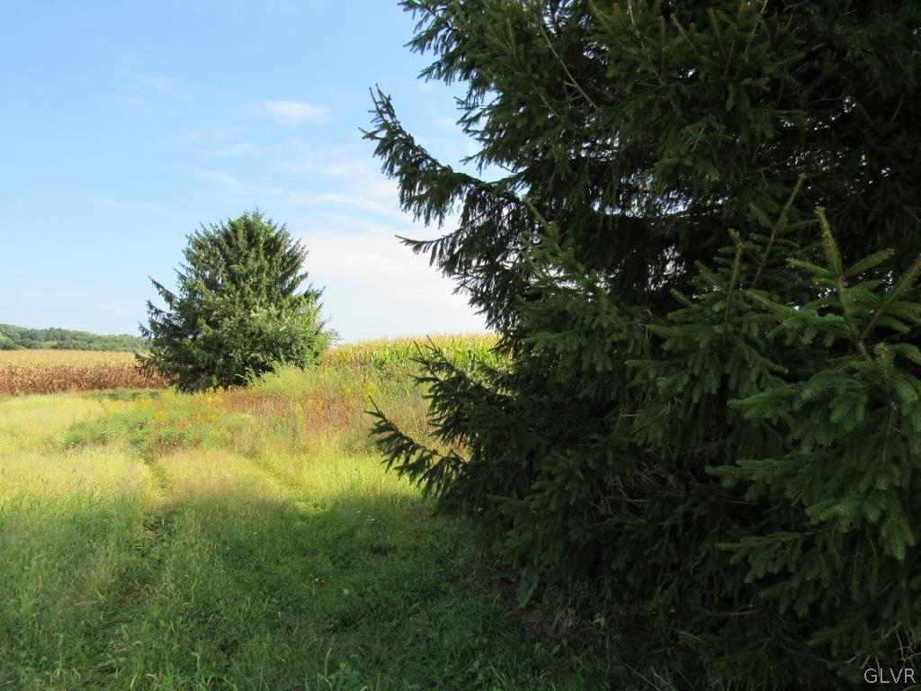 Hunter Forge Road Macungie, PA 18062 - Photo 1 of 6 Gallery Image 1