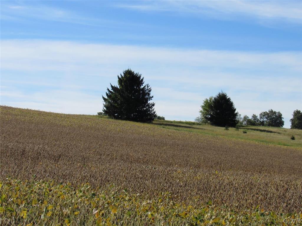 Hunter Forge Road Macungie, PA 18062 - Photo 2 of 6 Gallery Image 2