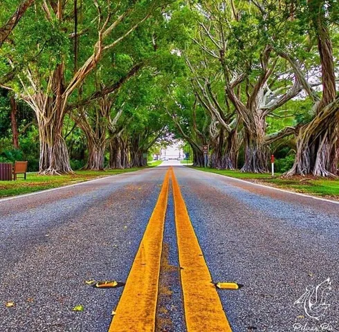 $9,500 | 12140 Southeast Indian River Drive North, Hobe Sound, FL 33455