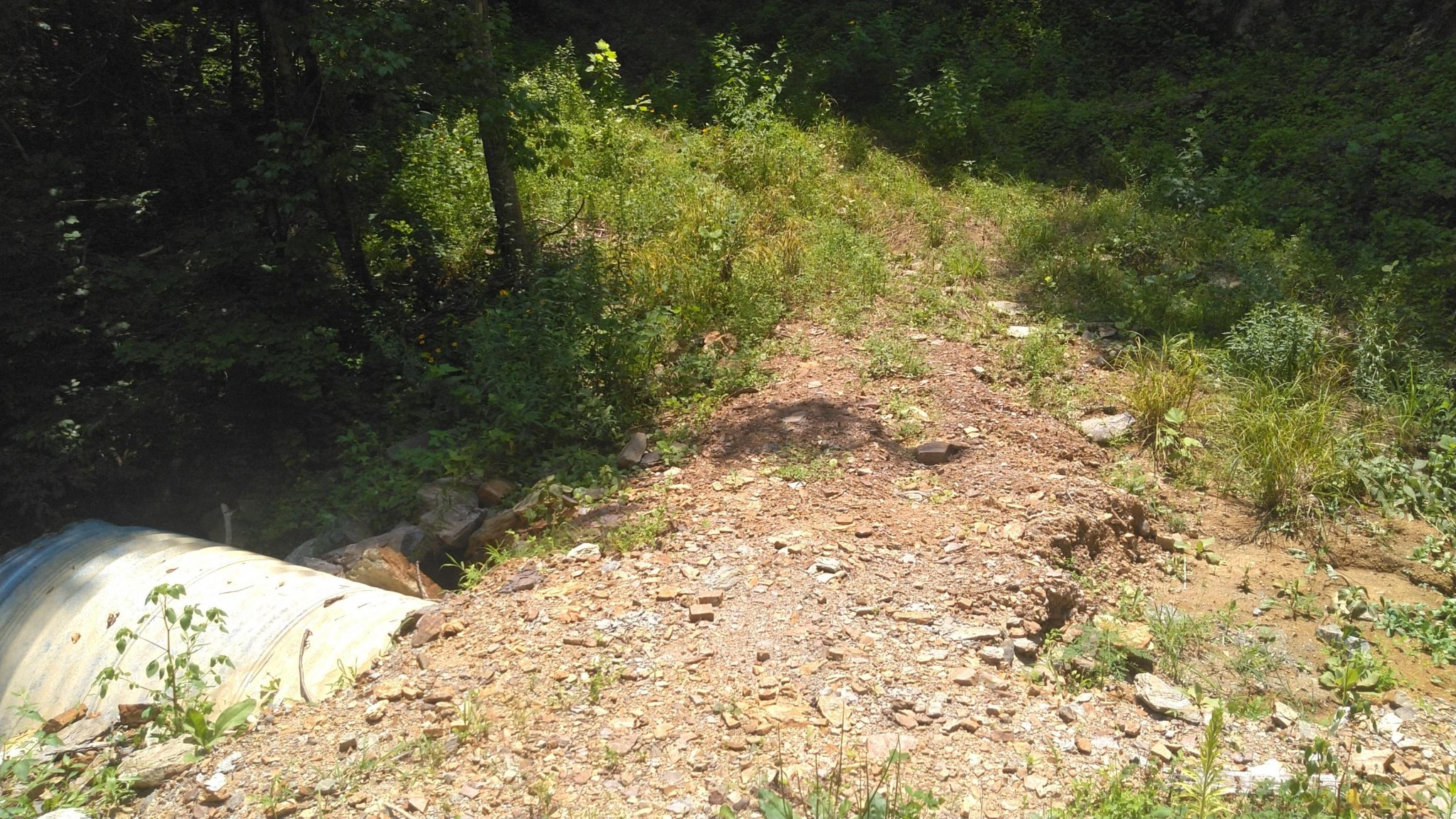 0 Duck Creek Road Sneedville, TN 37869 - Photo 9 of 13