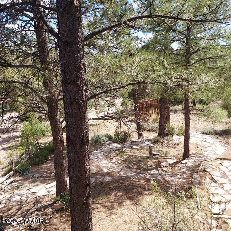 1920 Aspen Lane Overgaard, AZ 85933 - Photo 27 of 27