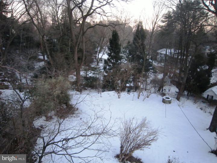 645 North Chester Road Swarthmore, PA 19081 - Photo 15 of 25 View in Back