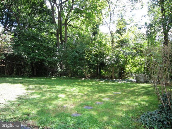 645 North Chester Road Swarthmore, PA 19081 - Photo 19 of 25 View in Back