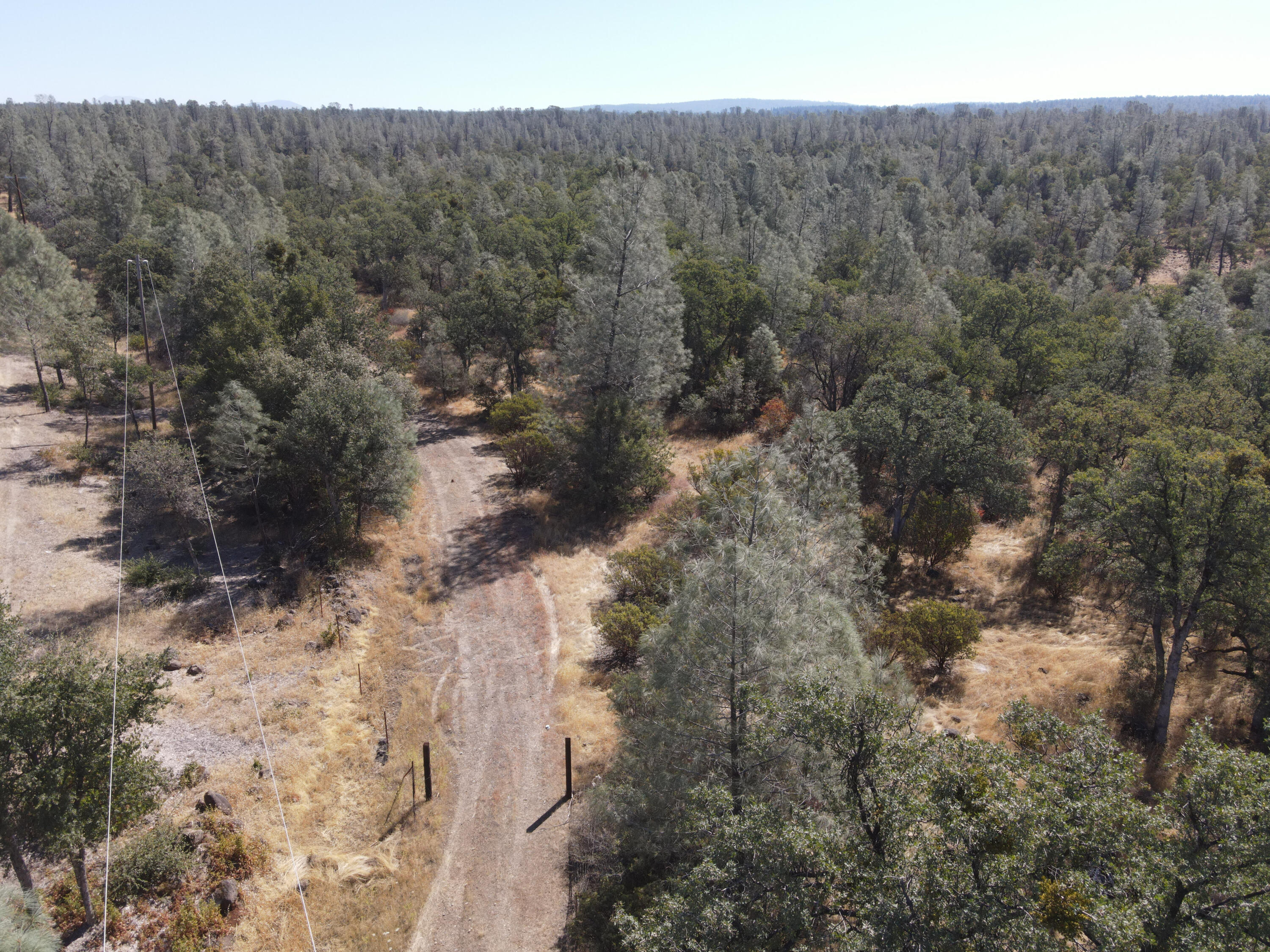 Nsa Dersch Road Shingletown, CA 96088 - Photo 3 of 56 DJI_0559_result