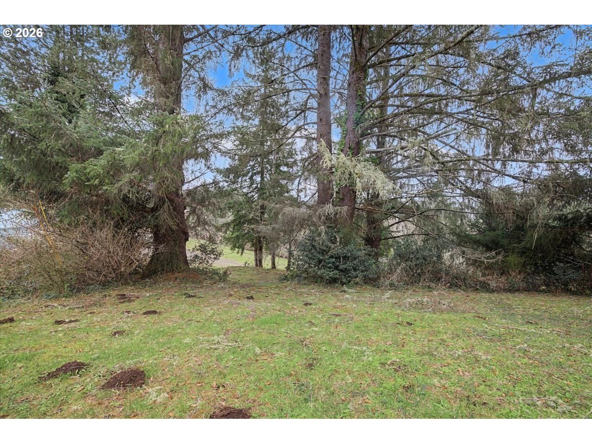 9 North Moolack Way Otis, OR 97368 - Photo 35 of 38 a view of outdoor space and yard