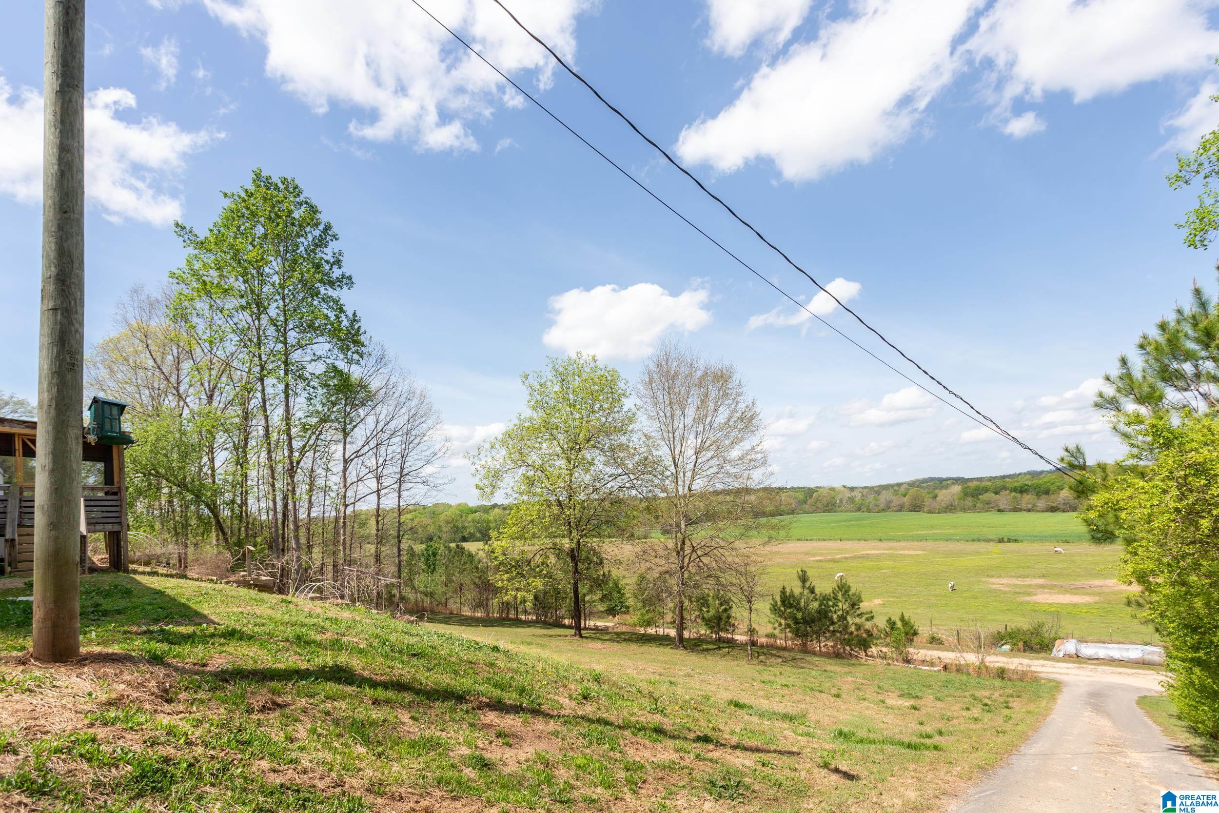 143 Dark Hollow Road Ohatchee, AL 36271 - Photo 34 of 39 Gallery Image 34