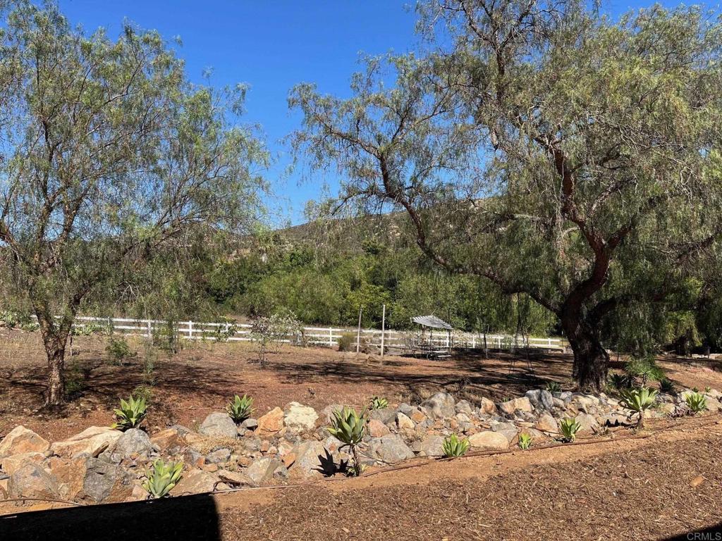 15176 Vali Hai Road Poway, CA 92064 - Photo 18 of 19 a view of a yard with trees