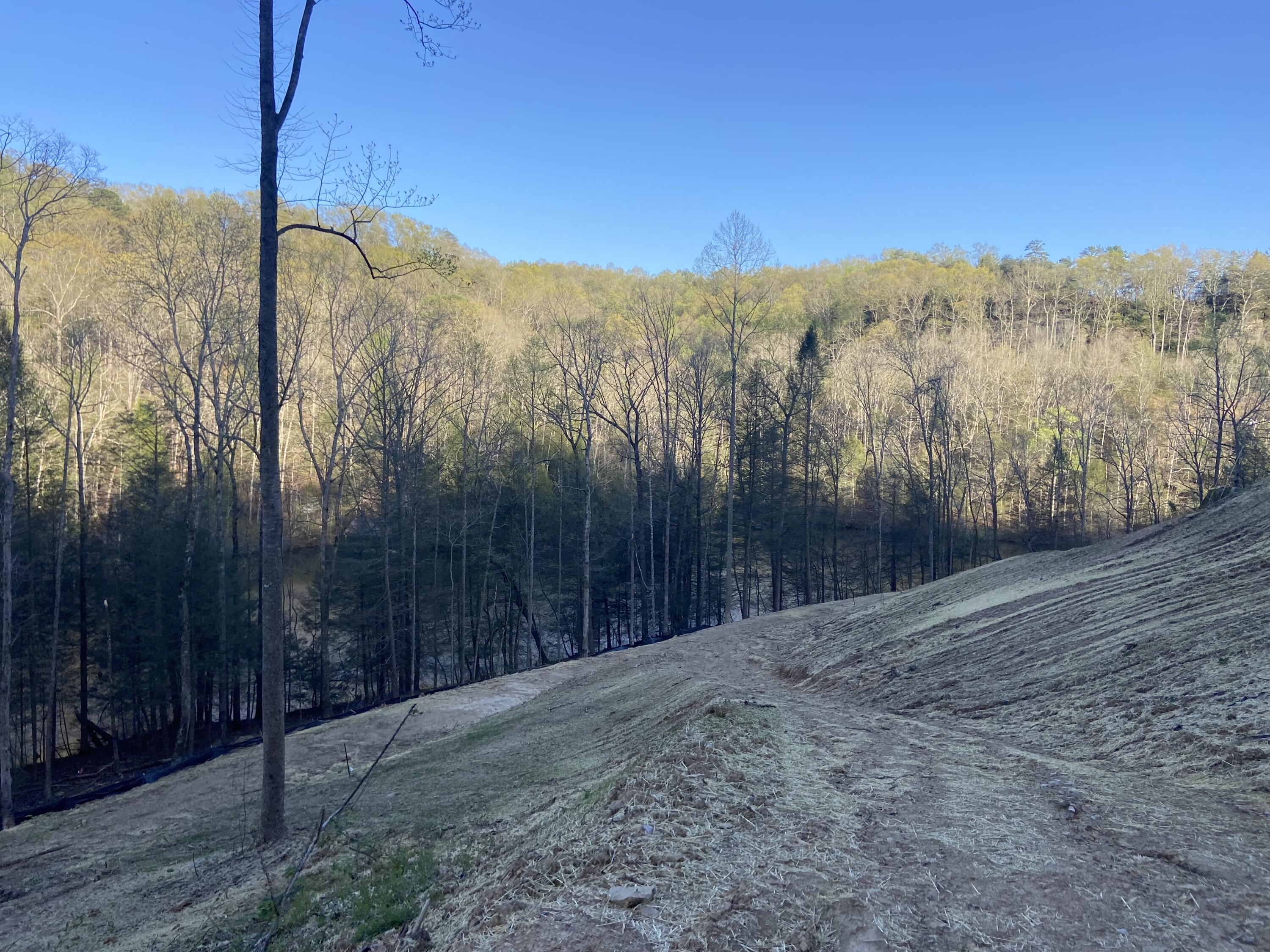 577 Cliffs Edge Road East Bernstadt, KY 40729 - Photo 6 of 11 IMG_4895