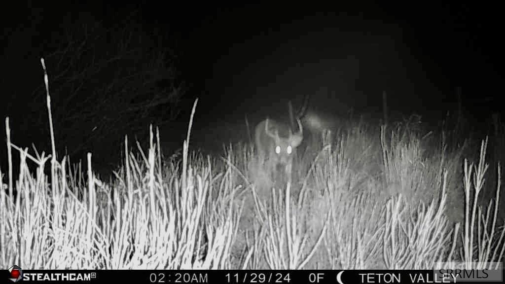 Tbd S South Bates Road Driggs, ID 83422 - Photo 25 of 28