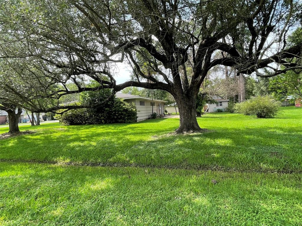 Tbd Clayton Street Tomball, TX 77375 - Photo 6 of 6