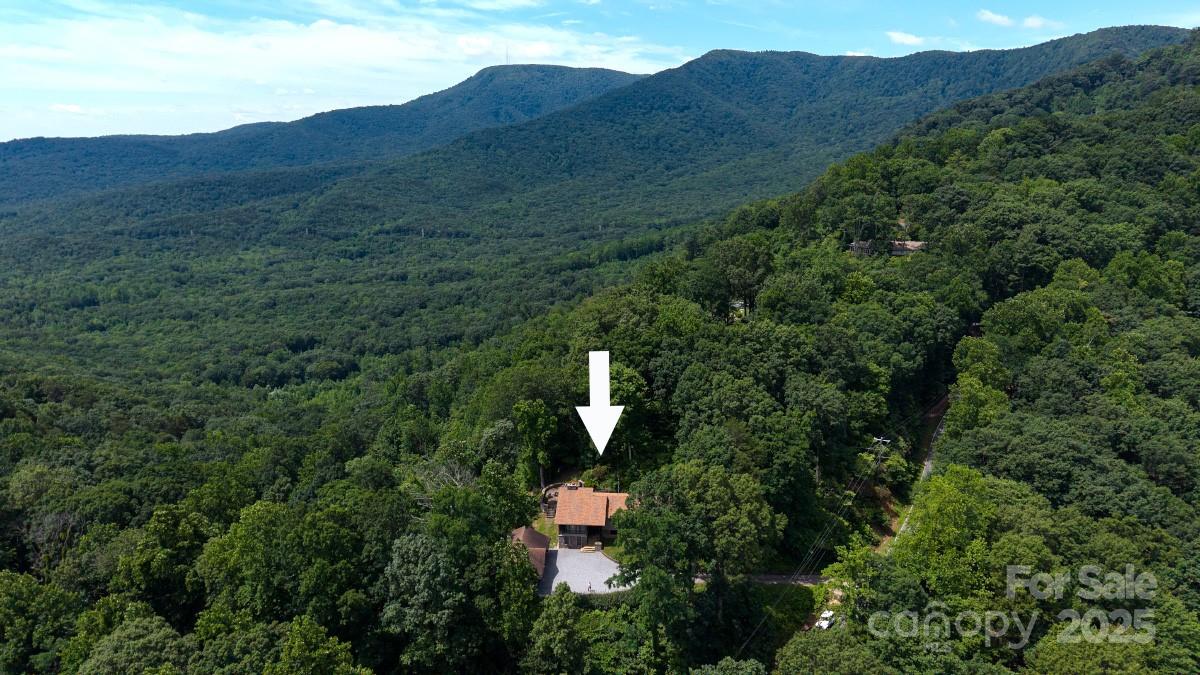 2045 Hogback Mountain Road Tryon, NC 28782 - Photo 2 of 37