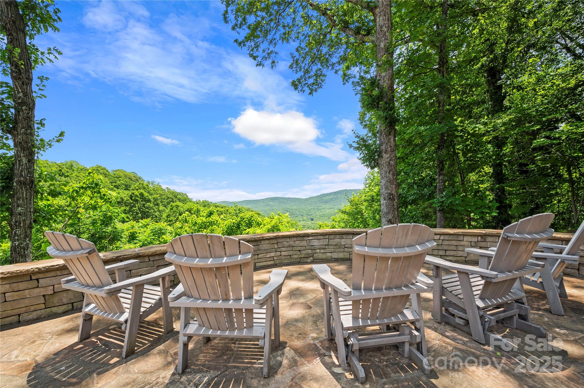 2045 Hogback Mountain Road Tryon, NC 28782 - Photo 28 of 37