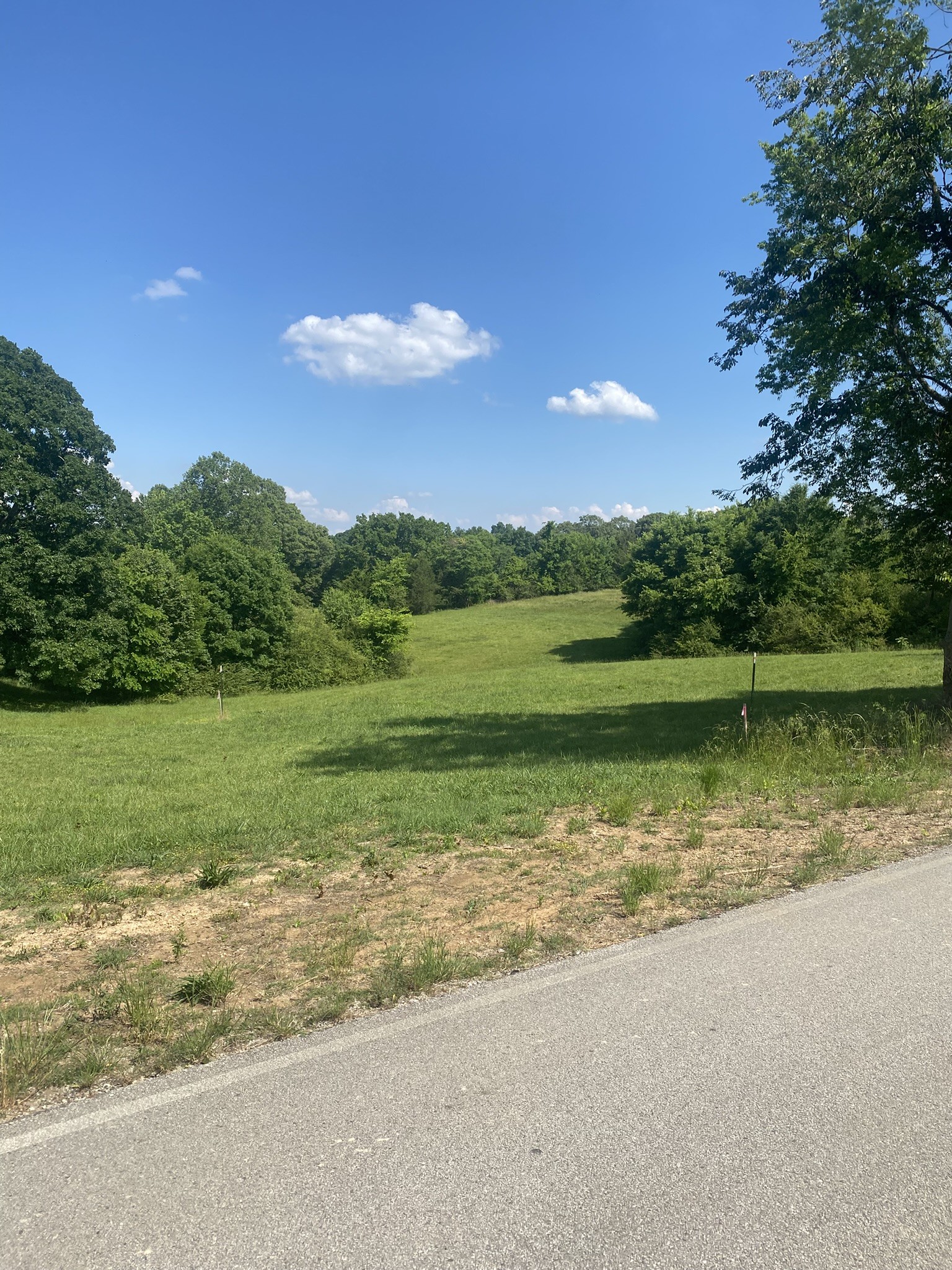656 County Road Anderson, AL 35610 - Photo 2 of 15 a view of a lake with a big yard