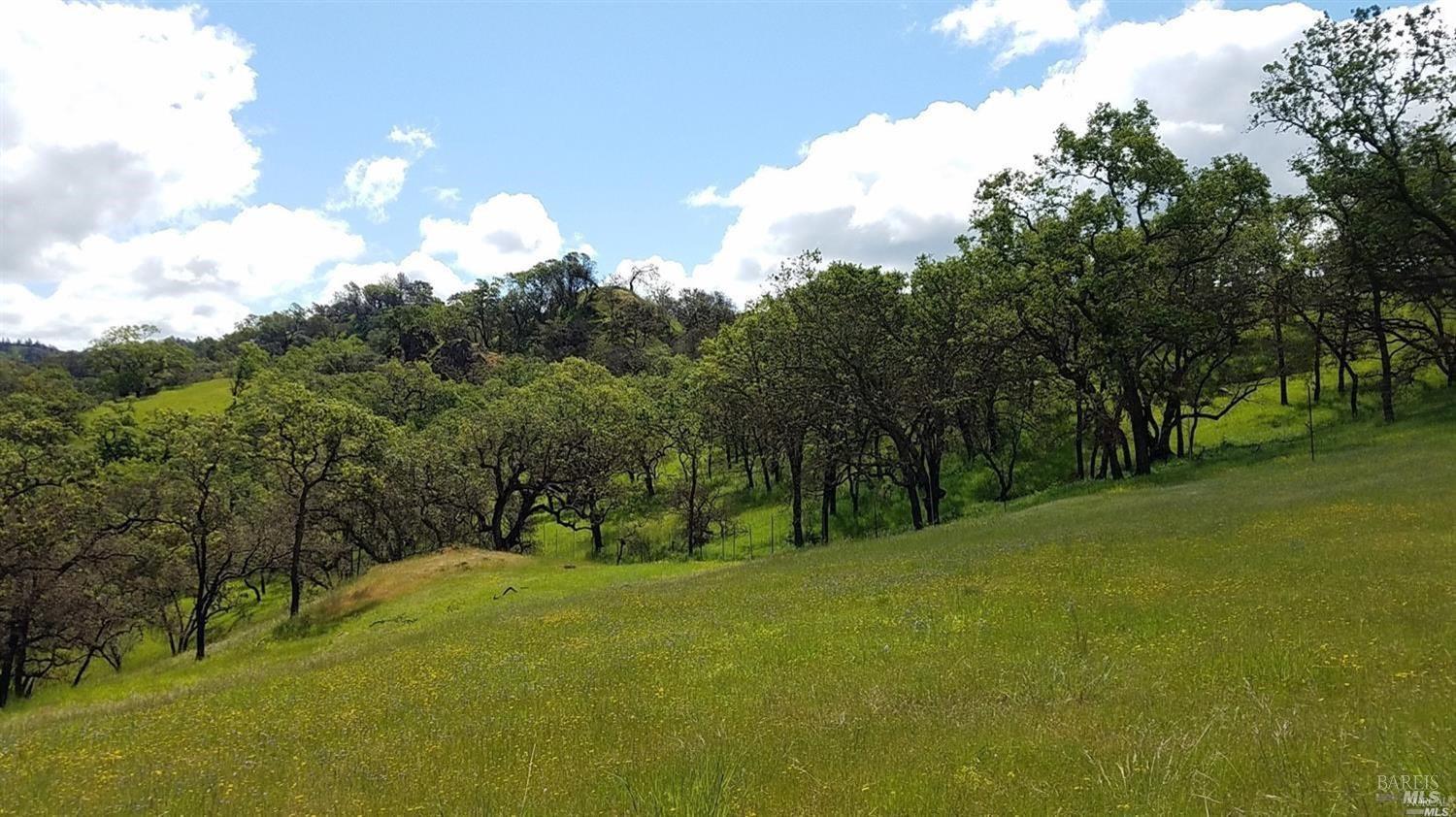 3550 Porter Creek Road Santa Rosa, CA 95404 - Photo 4 of 15 Area planned for Septic which has been designed