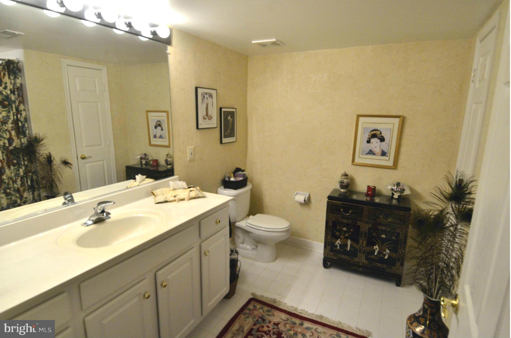 12300 Rosslare Ridge Road, Unit 204 Lutherville-Timonium, MD 21093 - Photo 11 of 13 Bath