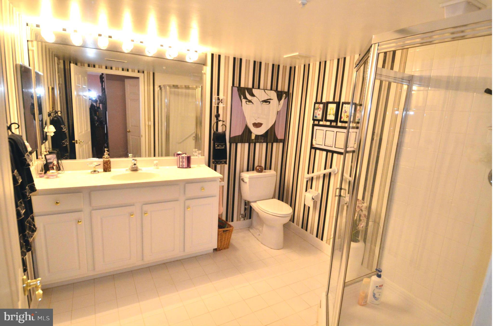 12300 Rosslare Ridge Road, Unit 204 Lutherville-Timonium, MD 21093 - Photo 12 of 13 Bath (Master)