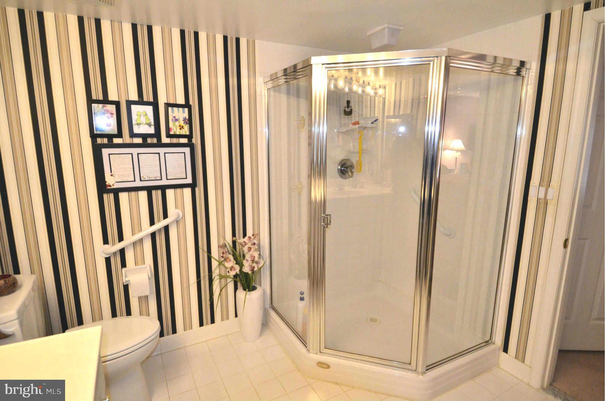 12300 Rosslare Ridge Road, Unit 204 Lutherville-Timonium, MD 21093 - Photo 13 of 13 Bath (Master)