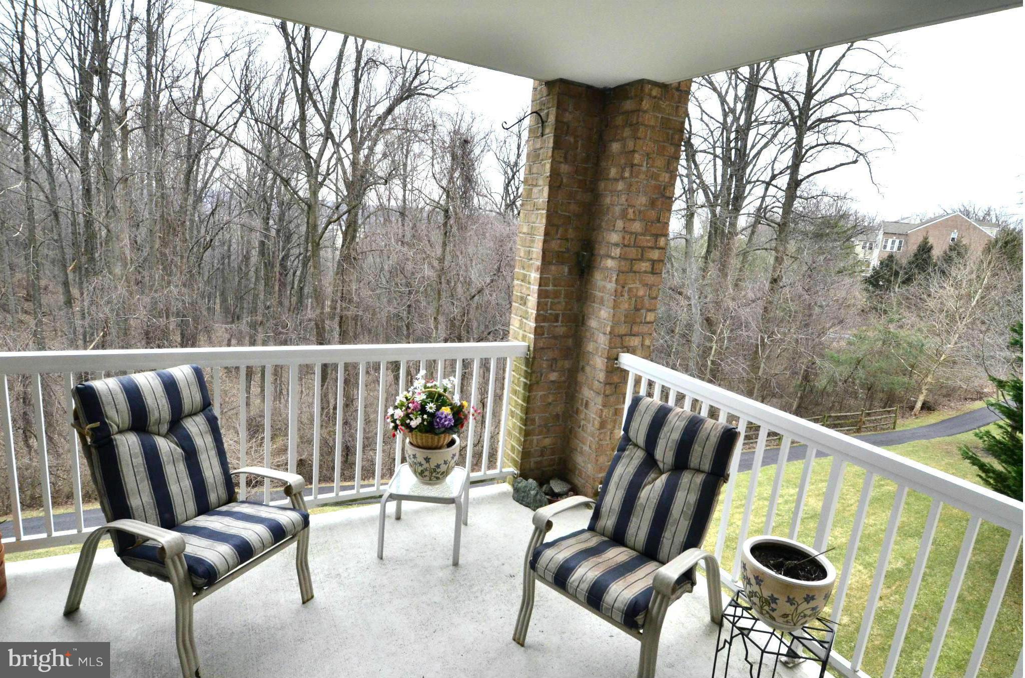 12300 Rosslare Ridge Road, Unit 204 Lutherville-Timonium, MD 21093 - Photo 8 of 13 Patio