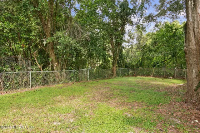 a view of a field with a tree